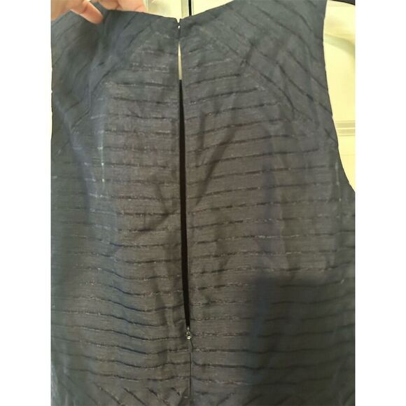 Banana Republic Fit and Flare Dress Size 10 Navy Blue Sheer Stripe Knee Length - Picture 6 of 7